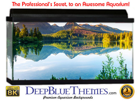 Buy Aquarium Background Lake Trees Aquarium Background