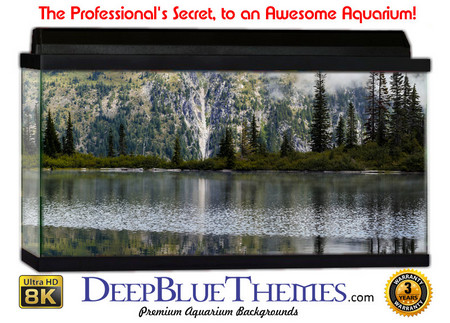 Buy Aquarium Background Lake Wide Aquarium Background