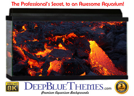 Buy Aquarium Background Lava Cracks Aquarium Background