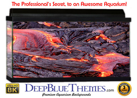 Buy Aquarium Background Lava Field Aquarium Background