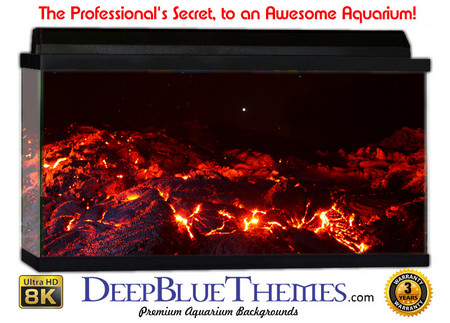 Buy Aquarium Background Lava Hot Aquarium Background
