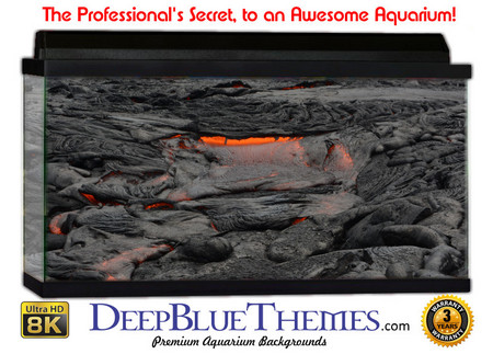 Buy Aquarium Background Lava Rocks Aquarium Background
