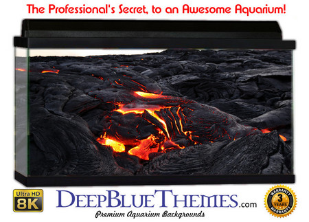 Buy Aquarium Background Lava Surface Aquarium Background