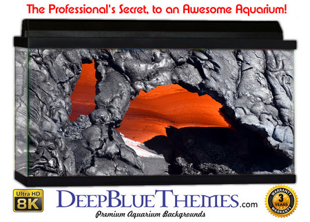 Buy Aquarium Background Lava Thru Aquarium Background