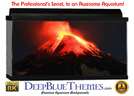 Buy Aquarium Background Lava Volcano Aquarium Background