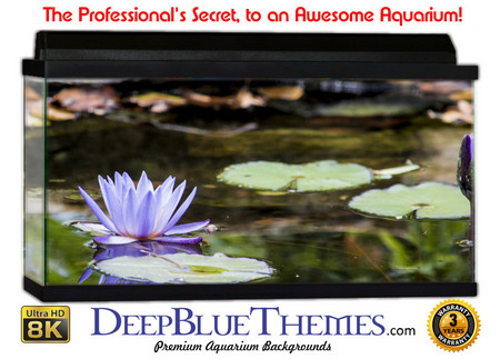 Buy Aquarium Background Lillypad 3d Aquarium Background
