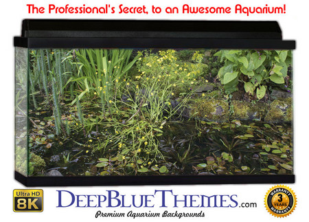 Buy Aquarium Background Lillypad Land Aquarium Background