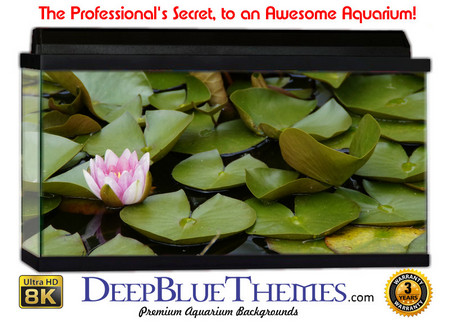Buy Aquarium Background Lillypad Left Aquarium Background