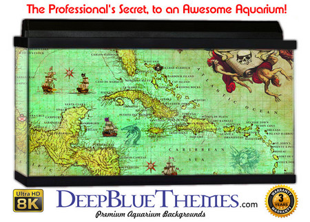 Buy Aquarium Background Maps Color Aquarium Background