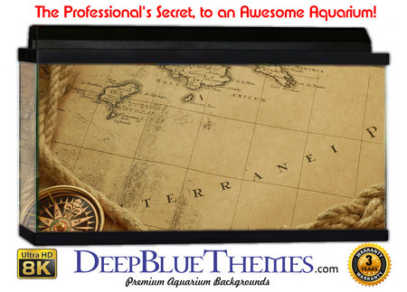 Buy Aquarium Background Maps Compass Aquarium Background