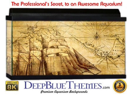 Buy Aquarium Background Maps Ship Aquarium Background