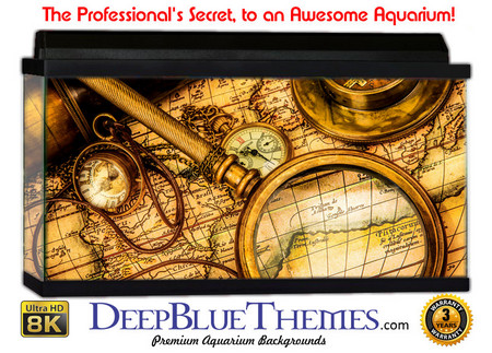 Buy Aquarium Background Maps Vintage Aquarium Background