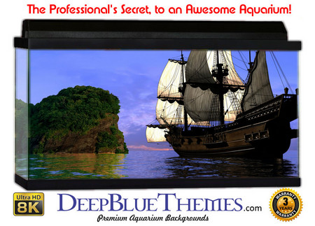 Buy Aquarium Background Ship Land Aquarium Background