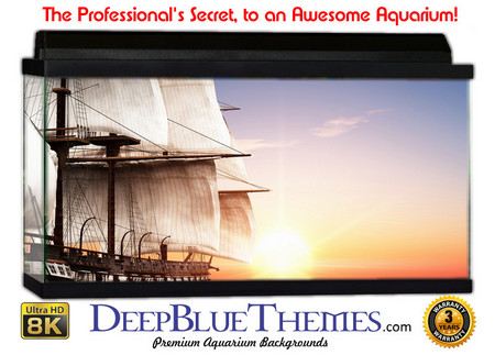 Buy Aquarium Background Ship Sails Aquarium Background