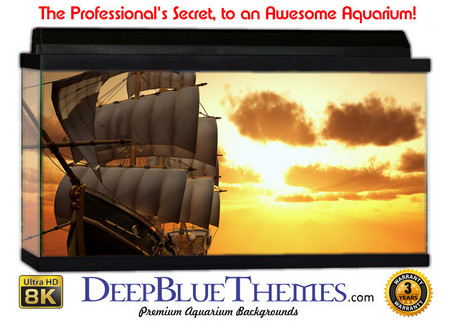 Buy Aquarium Background Ship Sun Aquarium Background