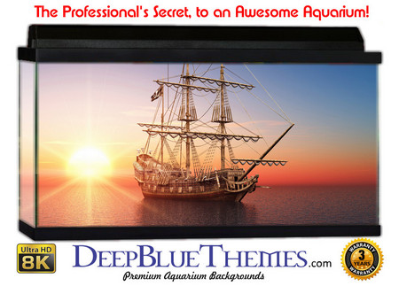 Buy Aquarium Background Ship Sunset Aquarium Background