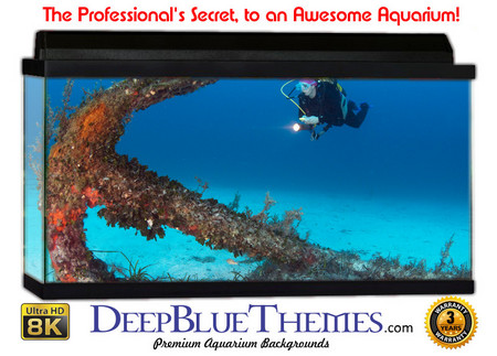 Buy Aquarium Background Marine Anchor Aquarium Background
