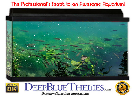 Buy Aquarium Background Marine Bottom Aquarium Background