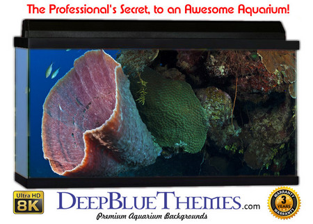 Buy Aquarium Background Marine Extrude Aquarium Background