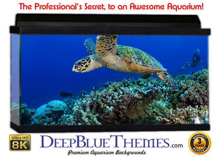 Buy Aquarium Background Marine Swim Aquarium Background