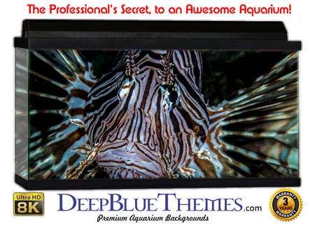 Buy Aquarium Background Marine Wings Aquarium Background