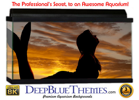 Buy Aquarium Background Mermaid Arch Aquarium Background