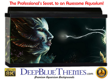 Buy Aquarium Background Mermaid Face Aquarium Background