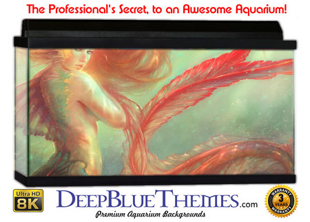 Buy Aquarium Background Mermaid Seduce Aquarium Background