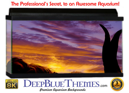Buy Aquarium Background Mermaid Sunset Aquarium Background