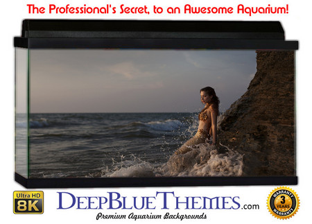 Buy Aquarium Background Mermaid Tide Aquarium Background