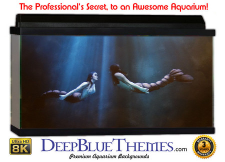 Buy Aquarium Background Mermaid Two Aquarium Background