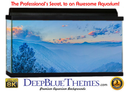 Buy Aquarium Background Mountains Colo Aquarium Background