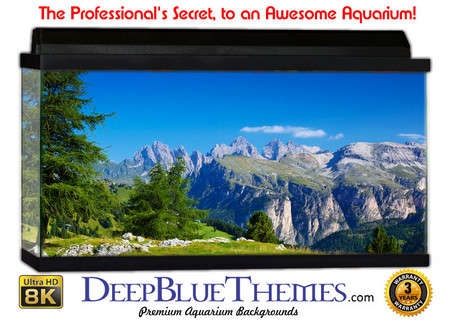 Buy Aquarium Background Mountains Green Aquarium Background