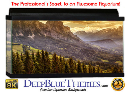 Buy Aquarium Background Mountains Magic Aquarium Background
