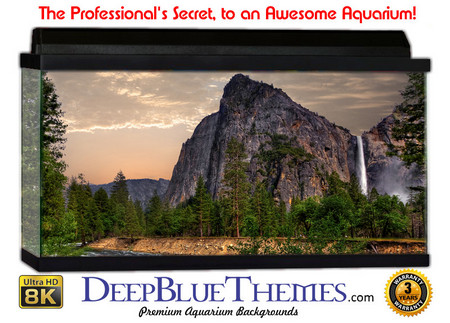 Buy Aquarium Background Mountains Park Aquarium Background
