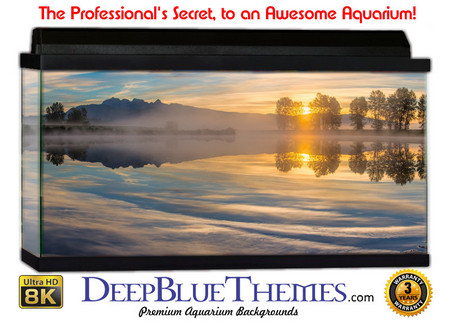 Buy Aquarium Background Mountains Peace Aquarium Background