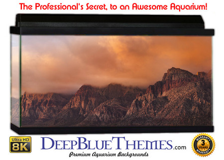 Buy Aquarium Background Mountains Red Aquarium Background