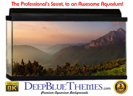 Buy Aquarium Background Mountains Sky Aquarium Background
