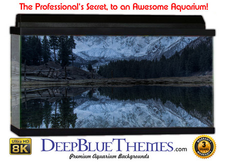 Buy Aquarium Background Mountains Snow Aquarium Background