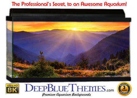 Buy Aquarium Background Mountains Sun Aquarium Background