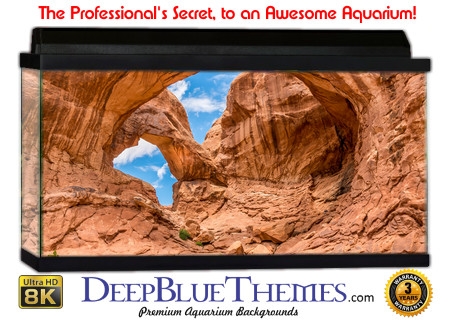 Buy Aquarium Background Nationalpark 0001 Aquarium Background