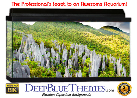 Buy Aquarium Background Nationalpark 0002 Aquarium Background
