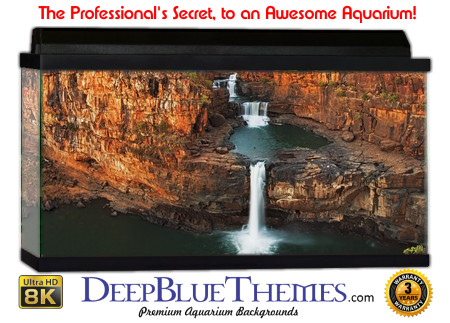 Buy Aquarium Background Nationalpark 0003 Aquarium Background