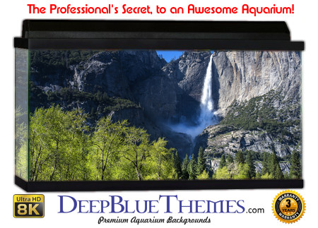 Buy Aquarium Background Nationalpark 0004 Aquarium Background