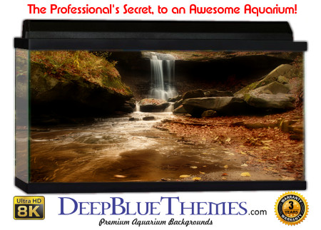 Buy Aquarium Background Nationalpark 0007 Aquarium Background