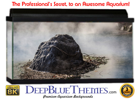 Buy Aquarium Background Nationalpark 0009 Aquarium Background