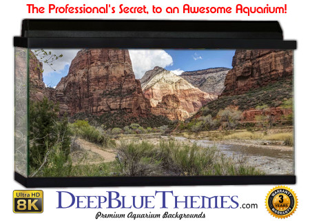 Buy Aquarium Background Nationalpark 0012 Aquarium Background