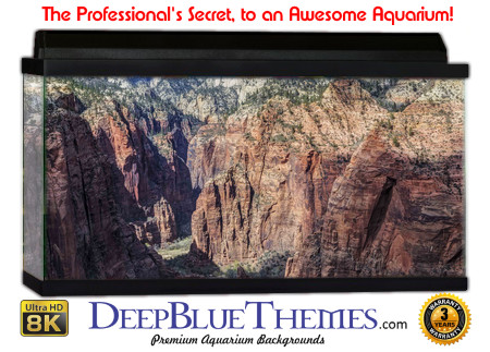 Buy Aquarium Background Nationalpark 0013 Aquarium Background