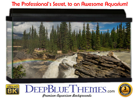 Buy Aquarium Background Nationalpark 0015 Aquarium Background