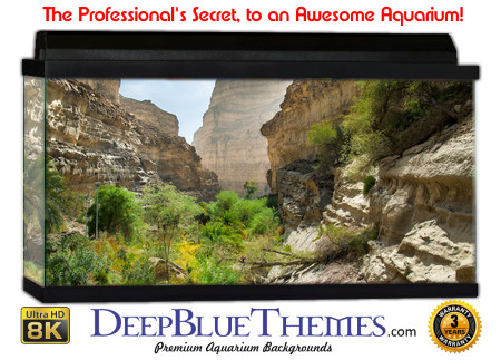 Buy Aquarium Background Nationalpark 0016 Aquarium Background